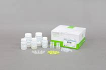 AccuPrep Genomic DNA Extraction Kit 100 Reactions