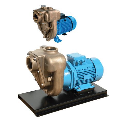 Gmp Electric Driven Bronze Self Priming Pumps Pumps From Uk Wrobinson And Sons Ec