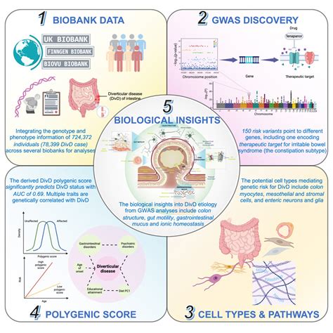 150 Risk Variants For Diverticular Disease Of Intestine Prioritize Cell