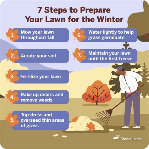 7 Steps To Prepare Your Lawn For Winter Constellation