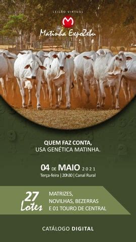 Leil O Oficial Expozebu Matinha By Abcz Issuu