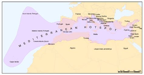 Mediterranean Sea Basin Countries Map