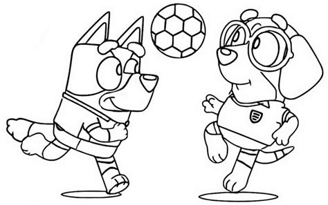 Futebol Bluey Ver O Educarolando Aprender Brincando