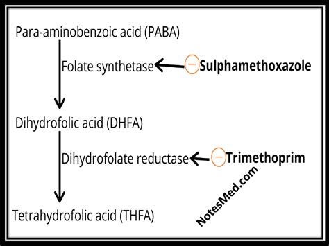 Cotrimoxazole: MOA, Adverse effects, Indications-NotesMed >