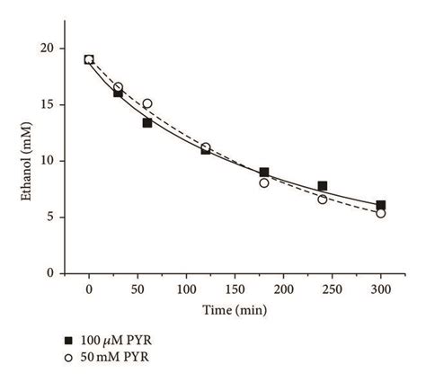 Changes In The Ethanol Concentration During Incubation Of Alcocytes At