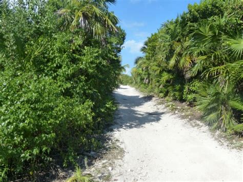 Beach Trail In Cancun Free Stock Photo Public Domain Pictures