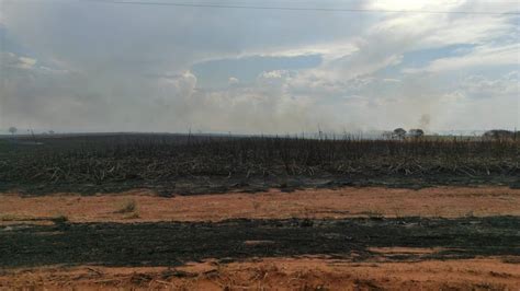 Incêndio atinge canavial e mobiliza bombeiros em Andradina São José