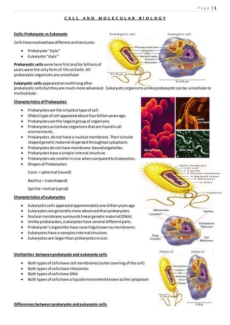 Cell & molecular biology | PDF