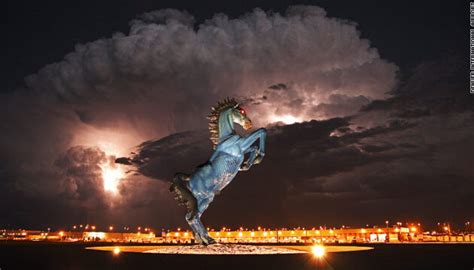 Tuteh Web ID | denver airport horse