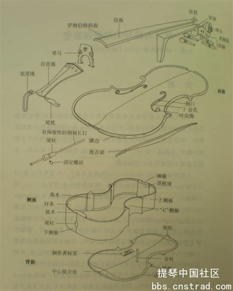 大提琴各部分结构名称百度知道