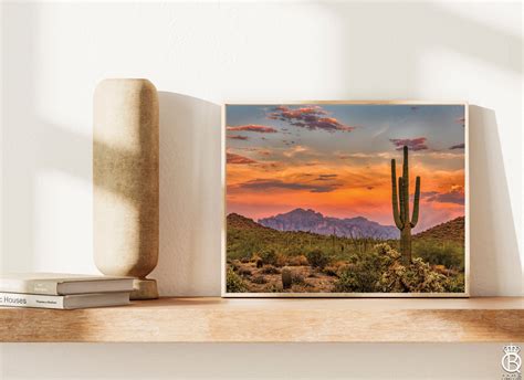 Sonoran Desert At Sunset Downloadable Print - Queen B Home