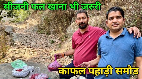 सीजनी फल खाना भी जरुरीकाफल Pahadi Lifestyle Vlog Sukhdev