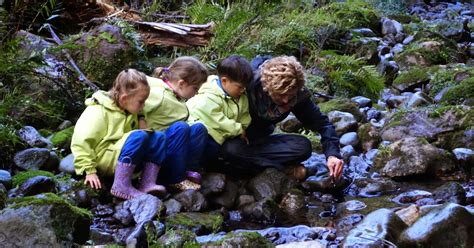 Mairtown Kindergarten Forest Kindergarten Leading The Way In New Zealand