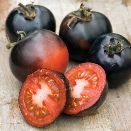 Tomate Cherry Indigo Rose