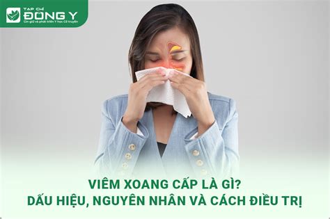 Viêm Xoang Cấp Là Gì Dấu Hiệu Nguyên Nhân Và Cách Điều Trị