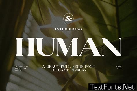 Human Elegant Serif Font Typeface Berzgae