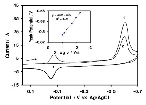 Cyclic Voltammograms At Ergo Gce In 0 1 M Pbs Ph 7 Containing 3 × 10 Download Scientific