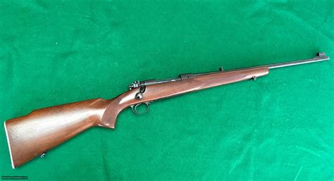 Winchester Pre-64 model 70 feather weight 243 win. Mint.