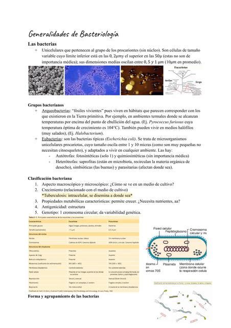 Generalidades De Bacteriolog A Viviendo La Medicina Udocz