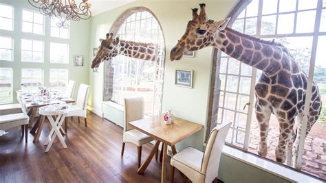 Giraffe Manor Nairobi | Kenya | Discounted Rates | Africa Odyssey