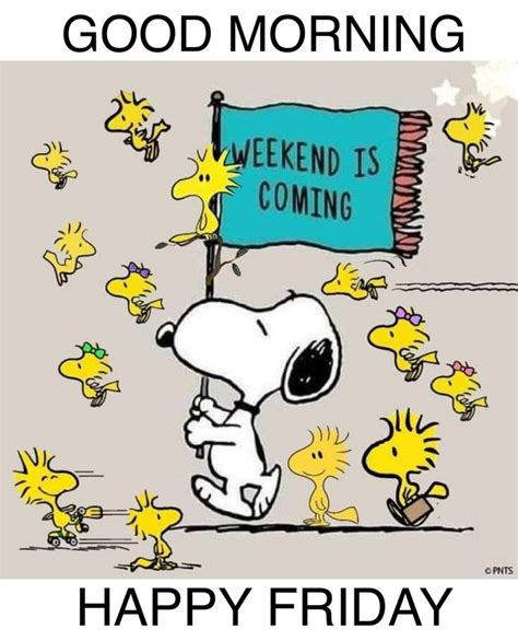 Pin By Catherine Hendrickson Jenkins On Friday Blessings In 2024 Snoopy Quotes Snoopy Friday