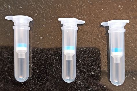 Dna Rna Spin Column At Rs Piece Rna Isolation Kit In Nagpur Id