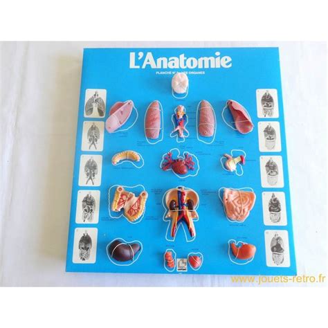 L Anatomie Jeu Laffont 1987 jouets rétro jeux de société figurines