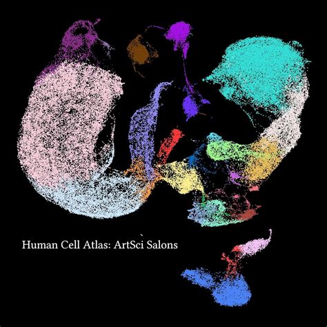 One cell at a time – Human Cell Atlas