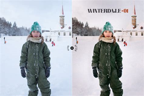 冬季人物摄影照片后期修图LR预设 Winterdale Lightroom Presets 设计小咖