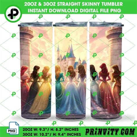 The Disney Princesses 20oz 30oz Straight Skinny Tumbler Design Digital ...