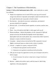 Biochem Study Guide Docx Chapter The Foundations Of Biochemistry