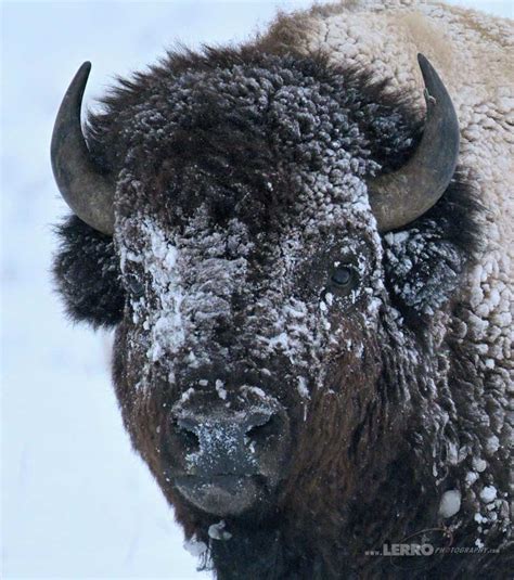 Grand Teton Photography Workshop