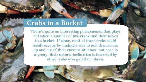 Crabs in a Bucket