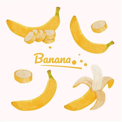 Conjunto de elementos de design de banana ilustração em vetor estilo