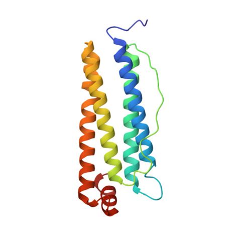 RCSB PDB 6H5I Single Particle Cryo EM Map Of Human Transferrin