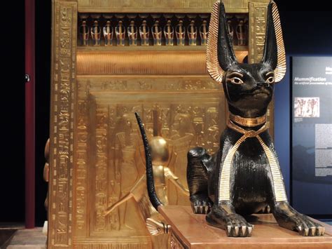 Free Images Animal Monument Statue Cat Egypt Sculpture Memorial