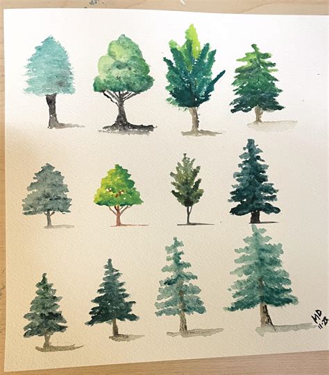 Tree Studies Rwatercolor