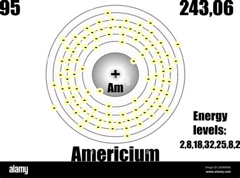 Americium Atom With Mass And Energy Levels Vector Illustration Stock