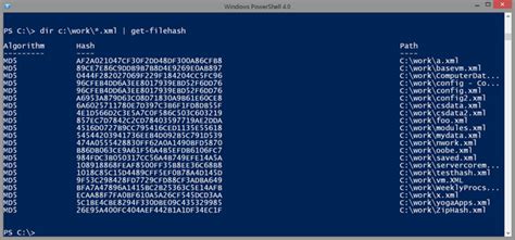 Hashing It Out In Powershell Using Get Filehash