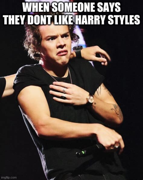 Funny Harry Styles Memes