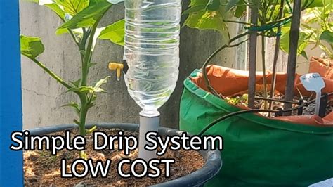 178 Simple LowCost Drip System Plastic Bottle Drip System Diy Plastic