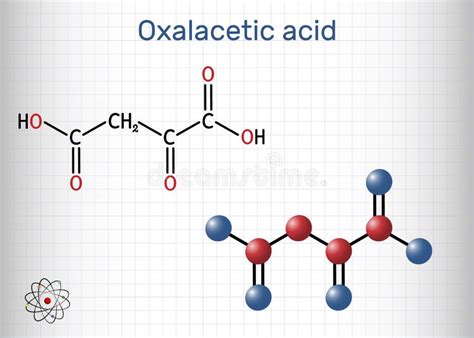 Oxaloacetic Acid Or Oxaloacetate Metabolic Intermediate Molecule