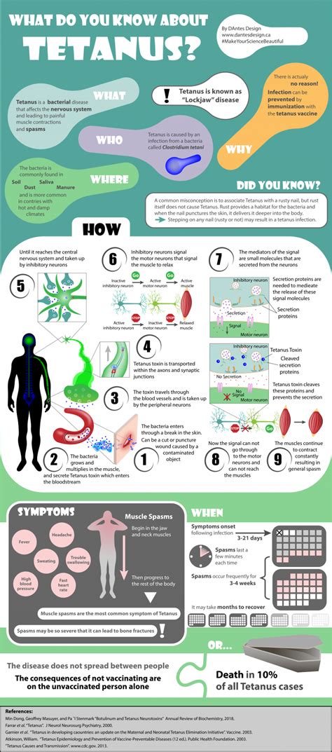 Tetanus Infographic Dantes Design