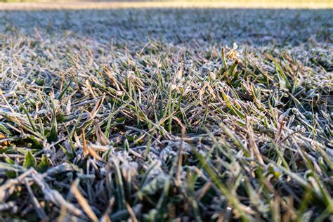 Recorde de frio 18 cidades do Paraná registram a temperatura mais