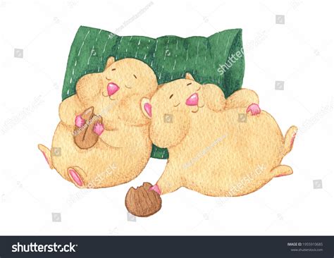 Cute Funny Sleeping Hamsters Stock Illustration 1955910685 | Shutterstock