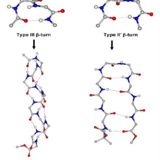 Classification of β turns a Type I β turn b Type II β turn c