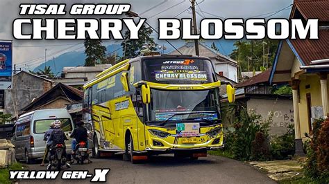 Full Basuri Corong Atas Klakson Telolet Basuri Tisal Group Cherry