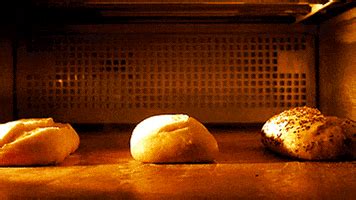 Bread GIFs - Find & Share on GIPHY