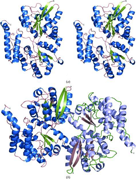 Iucr Structure Determination Of A Sugar Binding Protein From The