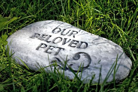 Ways To Memorialize Your Deceased Pet